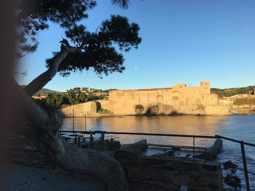 Un Balcon Sur La Mer Port Vendres ภายนอก รูปภาพ